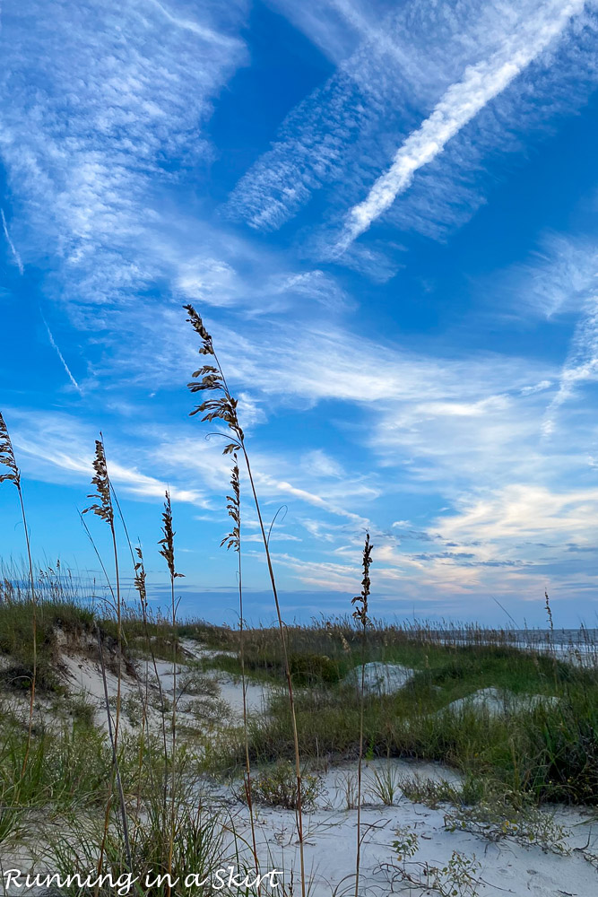 Things to Do in Jekyll Island - View of Sea Oats