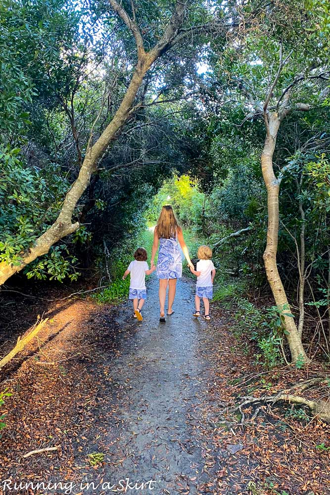 Things to Do in Jekyll Island - tree tunnel at Great Dunes State Park