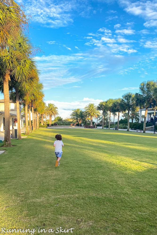 Things to Do in Jekyll Island - Green grass in the Beach Village
