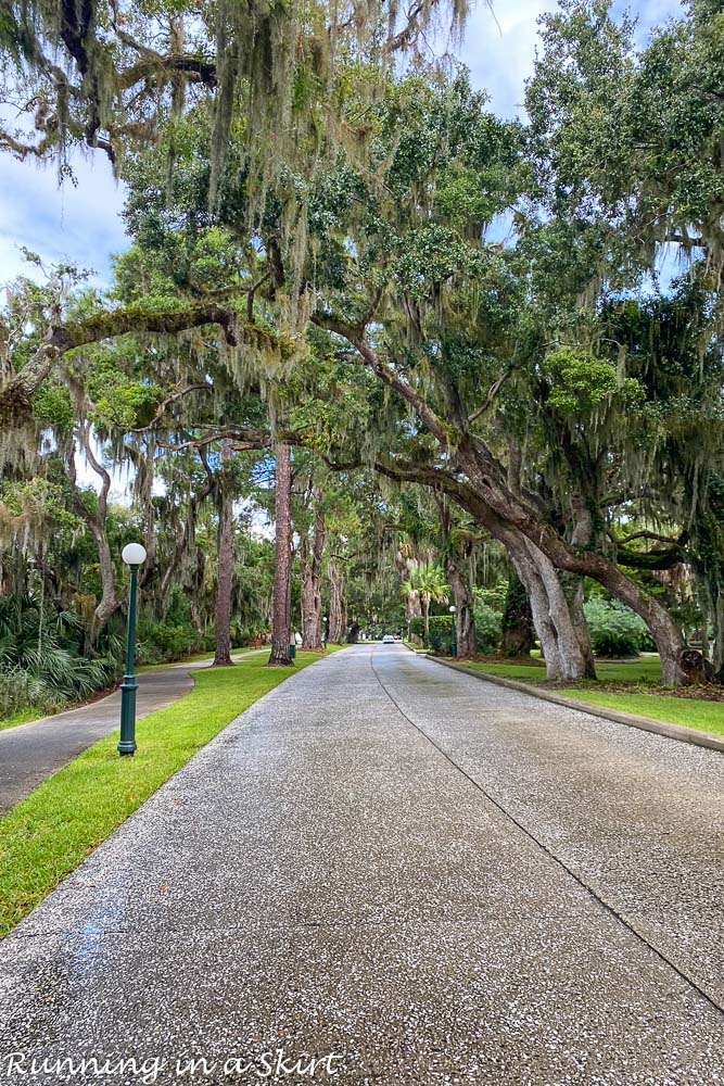 Things to Do in Jekyll Island - Bike Trail lined with Spanish moss trees.