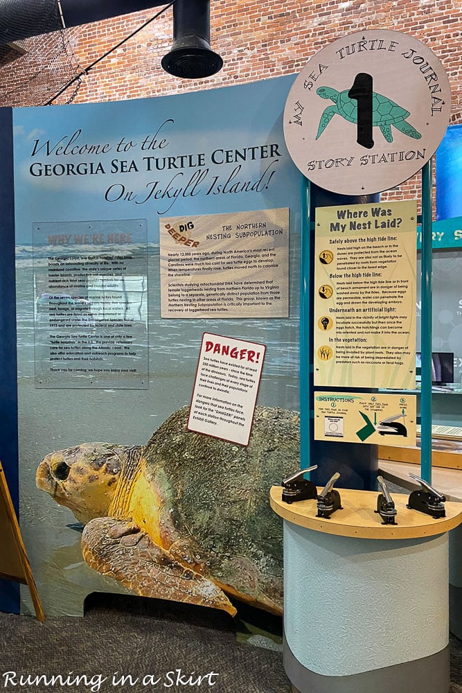 https://www.runninginaskirt.com/wp-content/uploads/2022/12/Georgia-Sea-Turtle-Center-Jekyll-Island-5.jpg