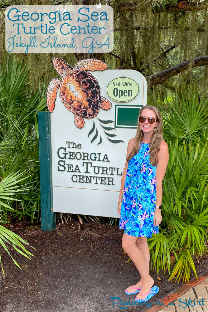 Georgia Sea Turtle Center Jekyll Island Pinterest Pin