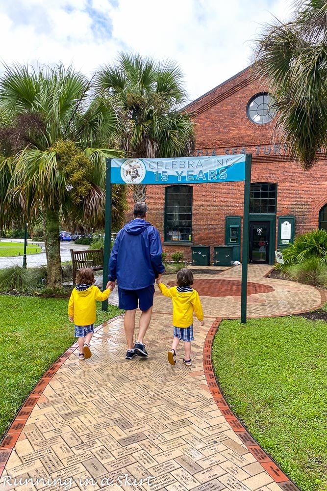 Georgia Sea Turtle Center Jekyll Island entrance