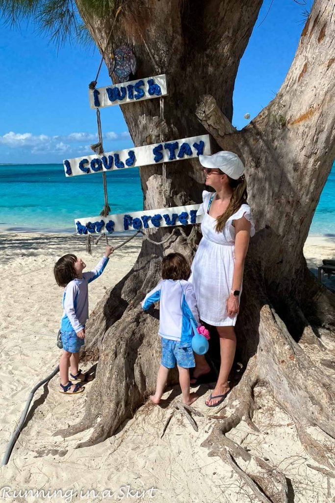 Beaches Turks and Caicos reviews - Tree on beach