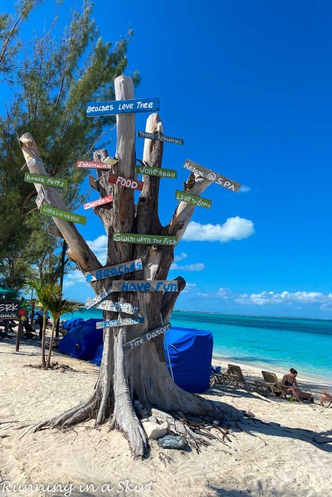 Tree with signs