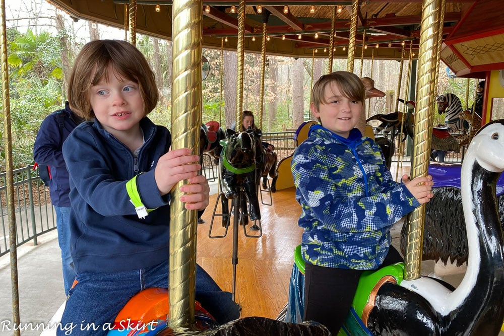 Endangered Species Carousel Riverbanks Zoo Columbia SC - Columbia Zoo