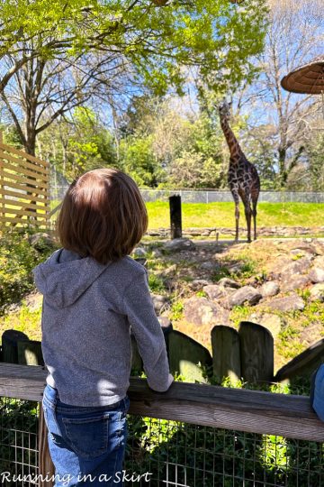 parents day toronto zoo