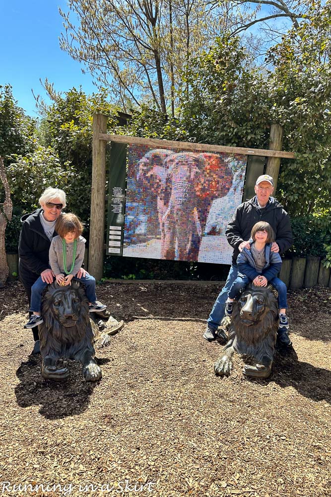 Greenville SC Zoo Lion Statues