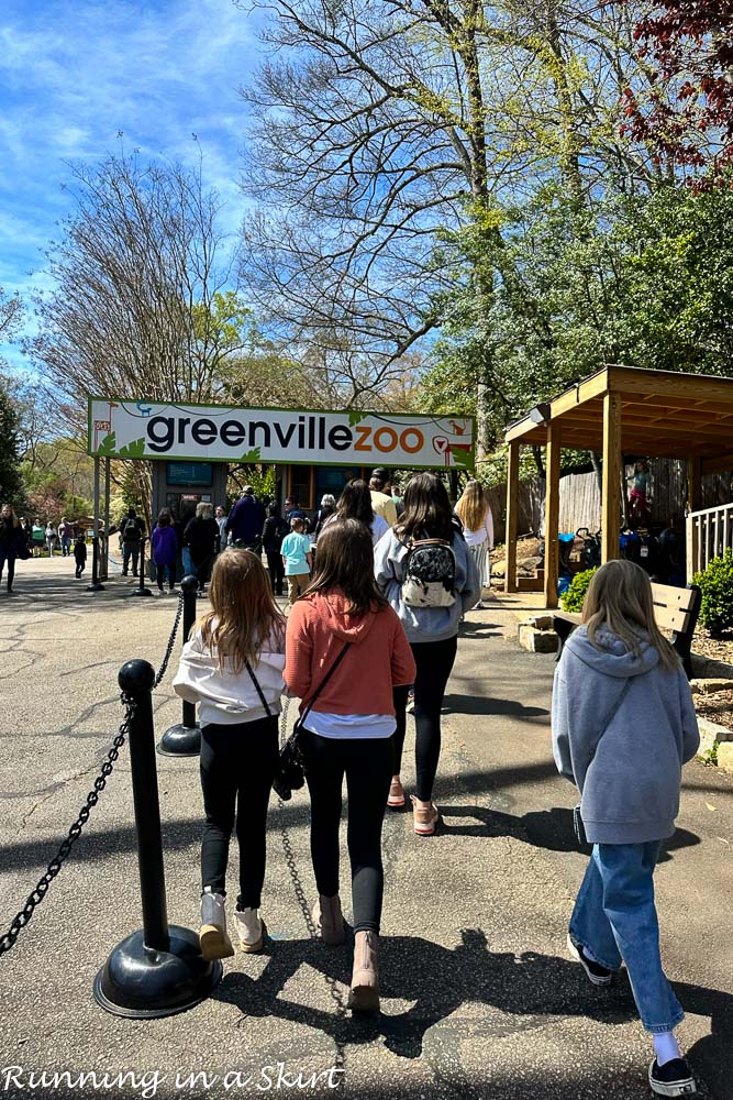 Greenville SC Zoo Entrace