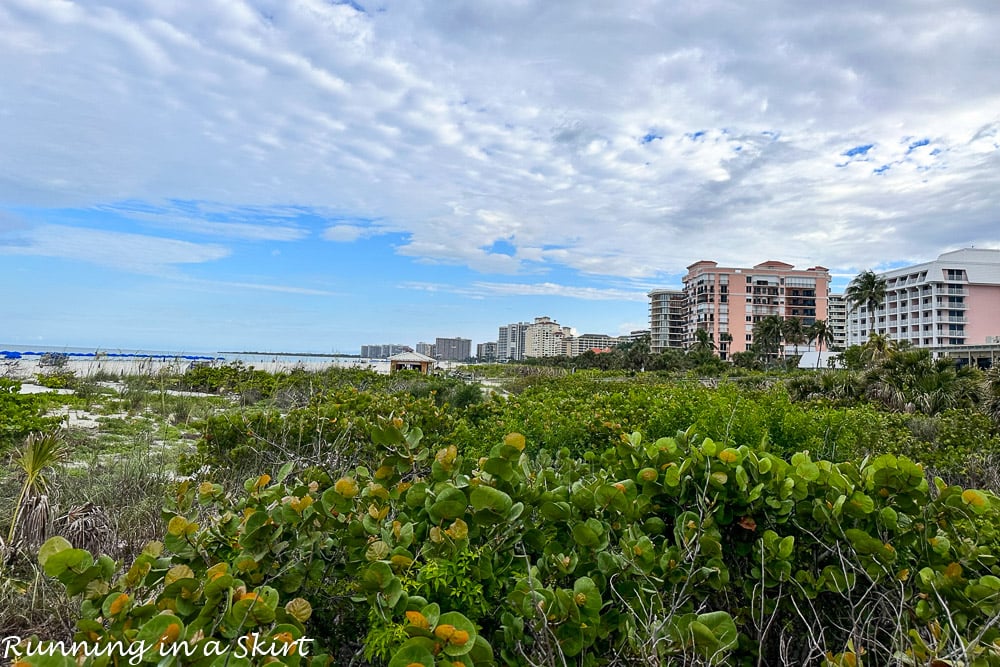 Marco Island Florida Beach