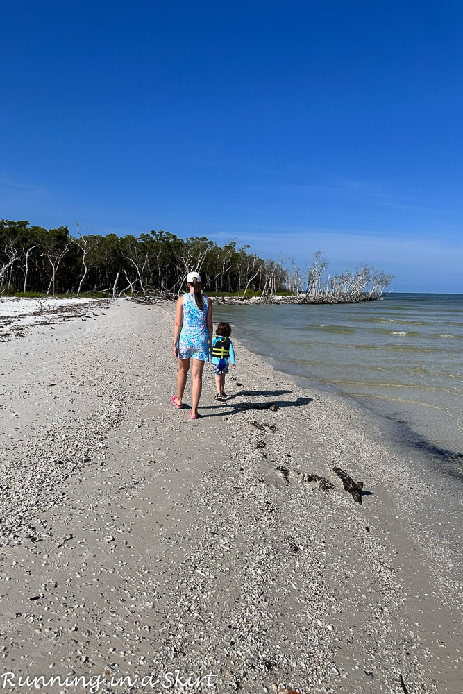 Top Things to Do in Marco Island Florida boat tours