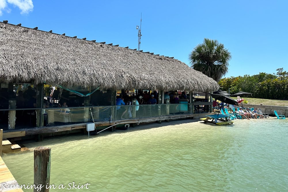 Top Things to Do in Marco Island Florida - Isle of Capri