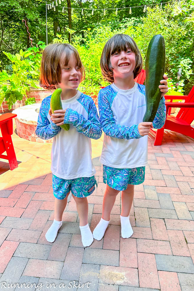 What to do with a giant zucchini