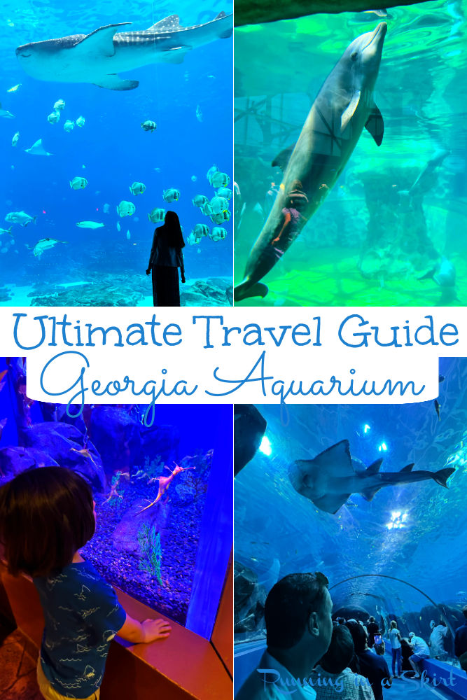 Georgia Aquarium Guide via @juliewunder