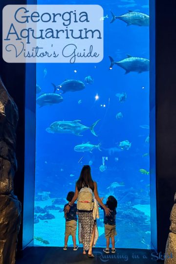 Georgia Aquarium - Real Photos &amp; Reviews « Running in a Skirt