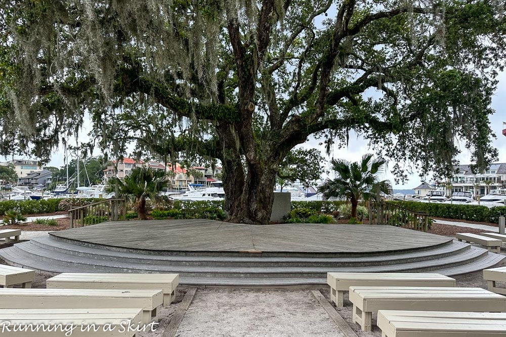 Liberty Oak in Harbour Town