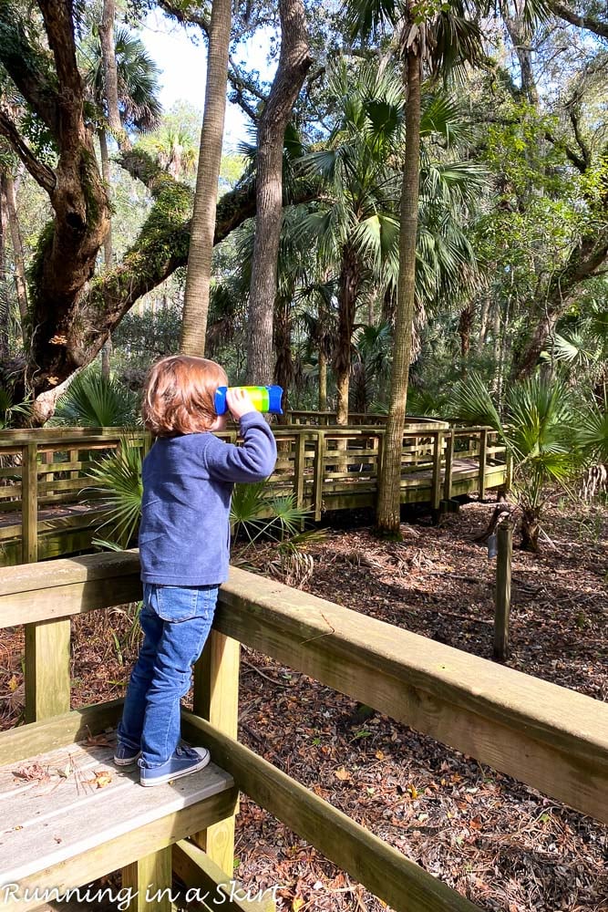 Things to Do in Hilton Head with Kids - Sea Pines Forest Preserve 