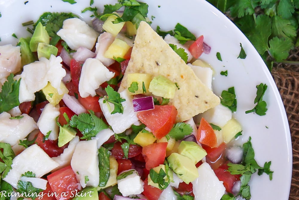 Halibut Ceviche close up.