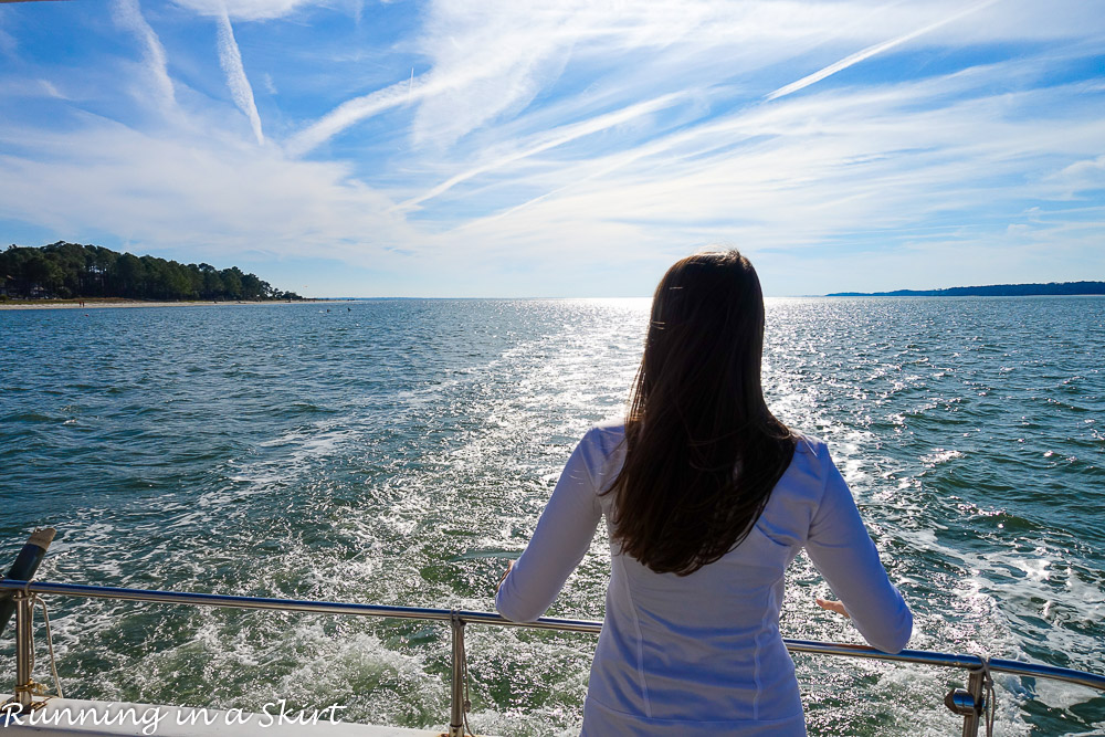 Things to Do in Hilton Head with Kids - Dolphin Cruise