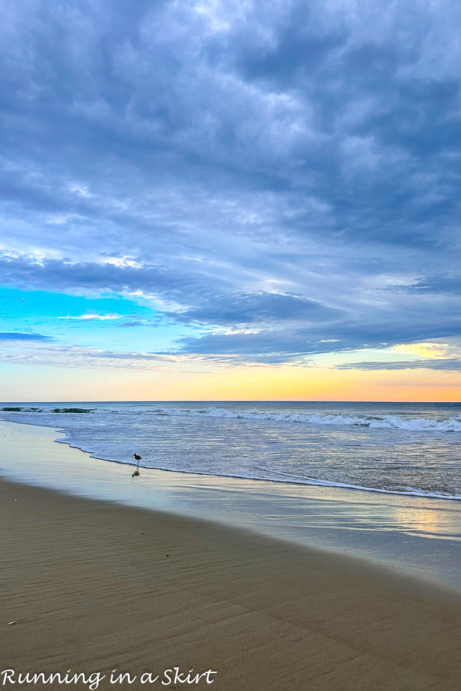 Things to do in Nags Head - Nags Head Beach