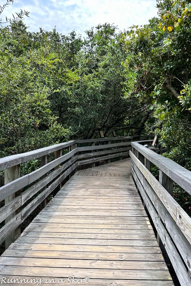 Walkway at Jockey's Ridge state park.