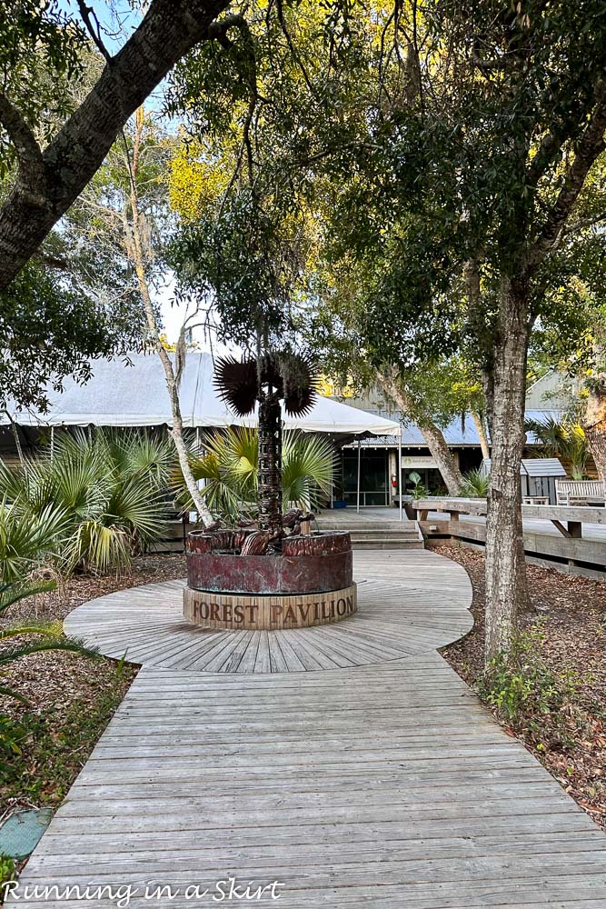 Bald Head Island Restaurants - Maritime Market Forest Pavilion
