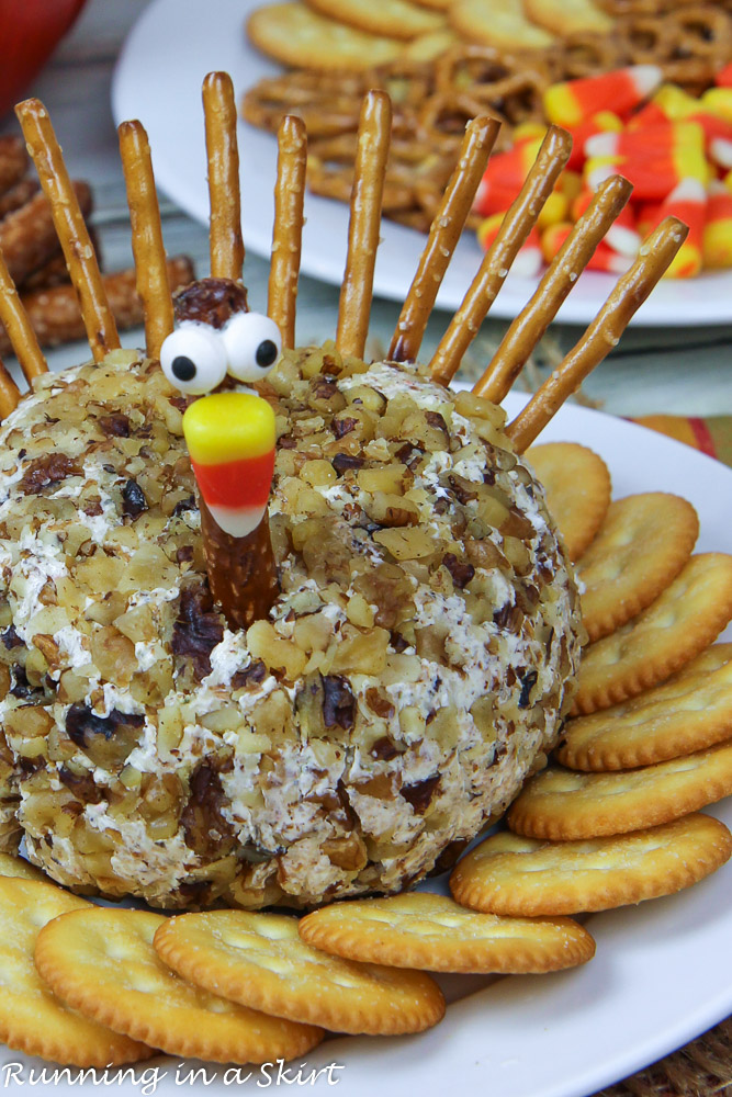 Turkey Cheese Ball for Thanksgiving close up.