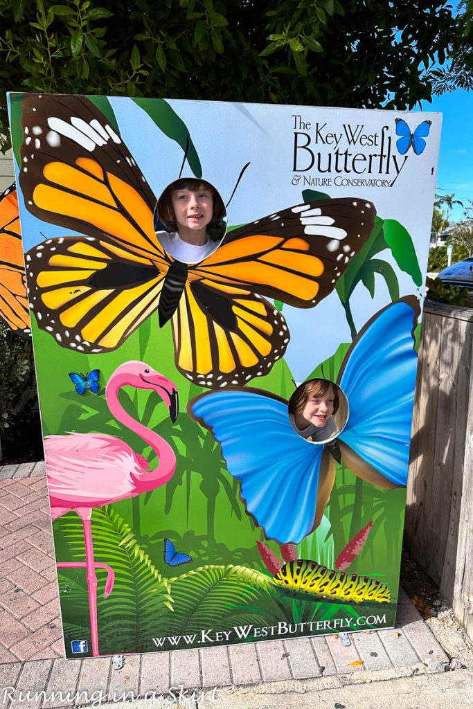 Things to Do in Key West with Kids - Butterfly House