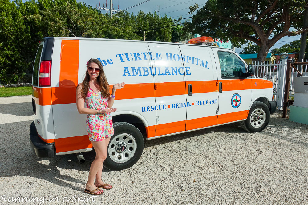 Things to Do in Key West with Kids - Turtle Hospital
