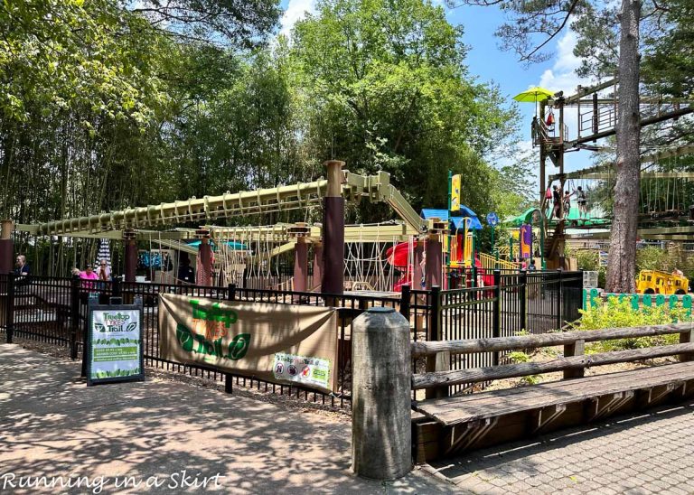 Atlanta Zoo Rides Atlanta Zoo - Review & Can't Miss Attractions « Running in a Skirt