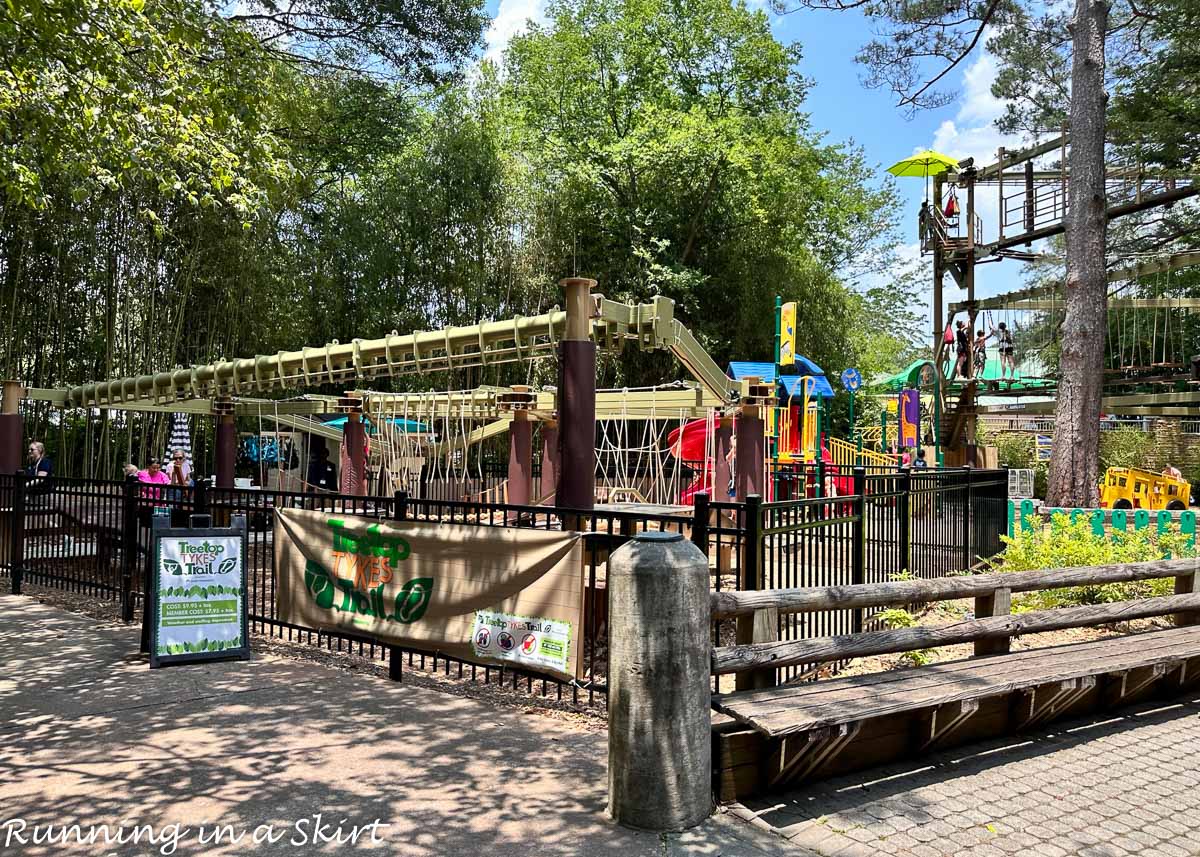 Atlanta Zoo Review Can T Miss Attractions Running In A Skirt Atlanta Zoo Review Can T Miss Attractions Running In A Skirt
