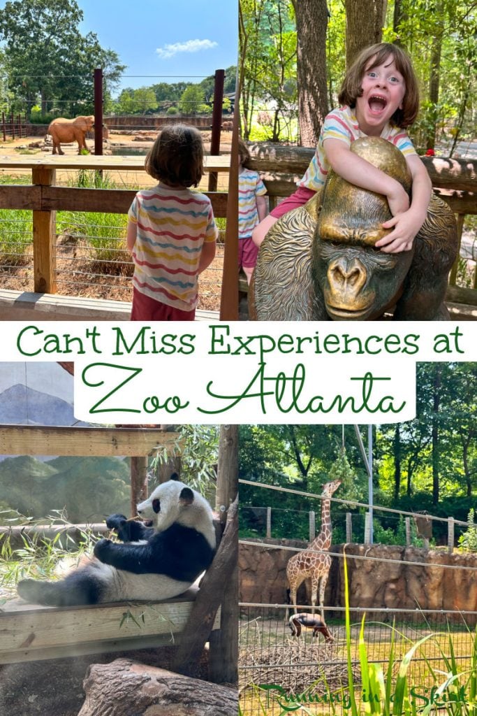 Atlanta Zoo Reviews Pinterest Pin Collage
