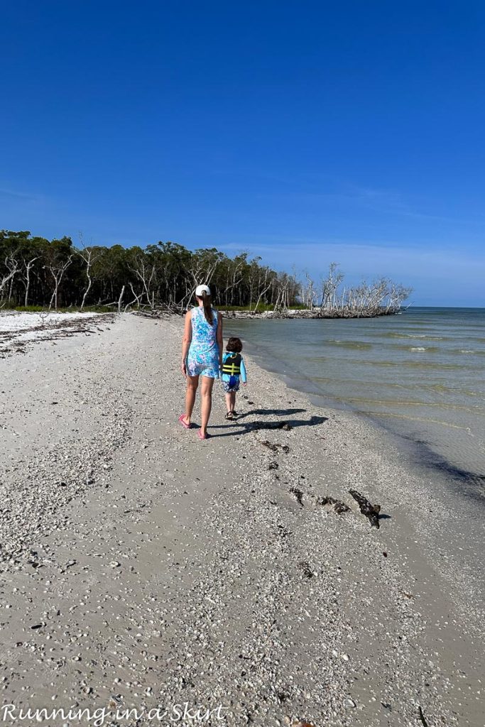 Marco Island Shelling Tours