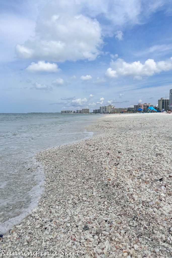 Sea shell bed on Marco Island.