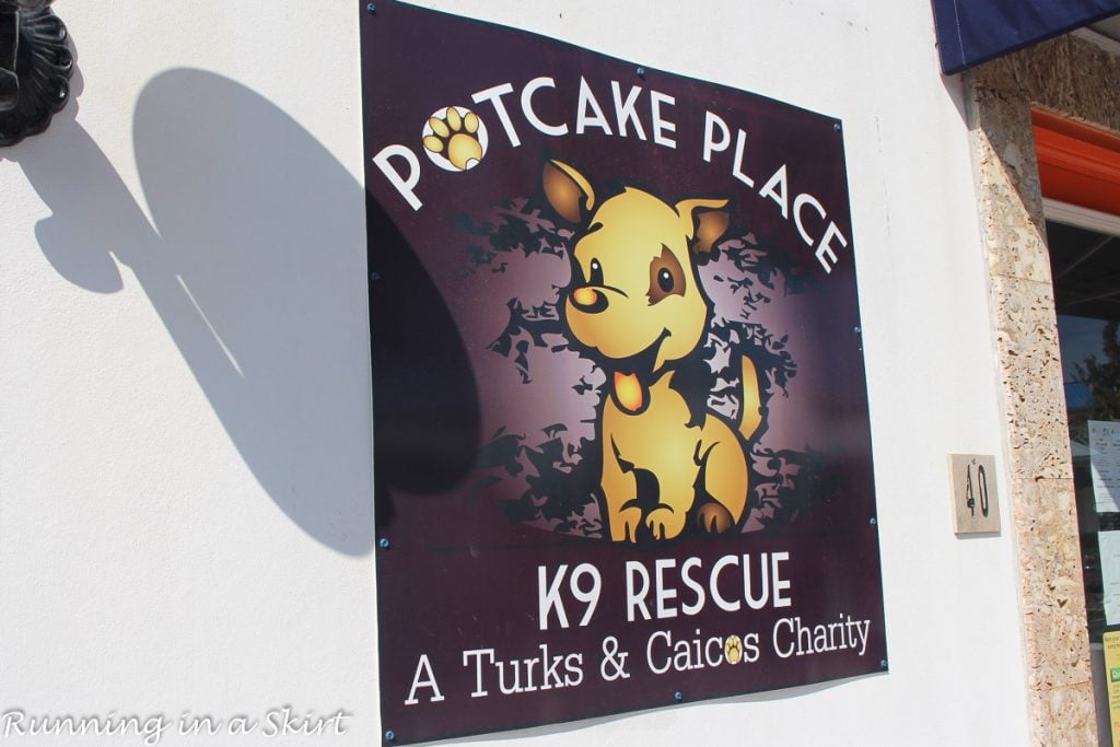 Things to Do in Turks and Caicos Potcake Place