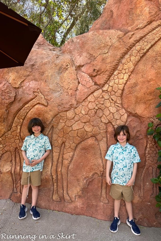 Disney Animal Kingdom Lodge reviews