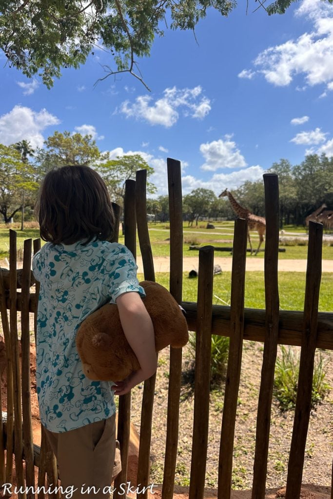 Disney Animal Kingdom Lodge reviews animals