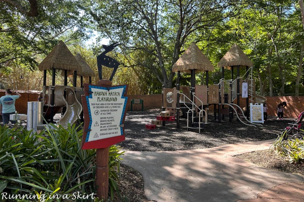 Hakuna Matata Playground