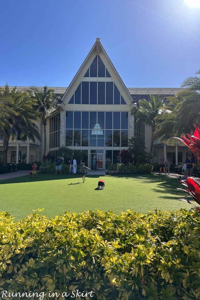 JW Marriott Marco Island Reviews resort grounds
