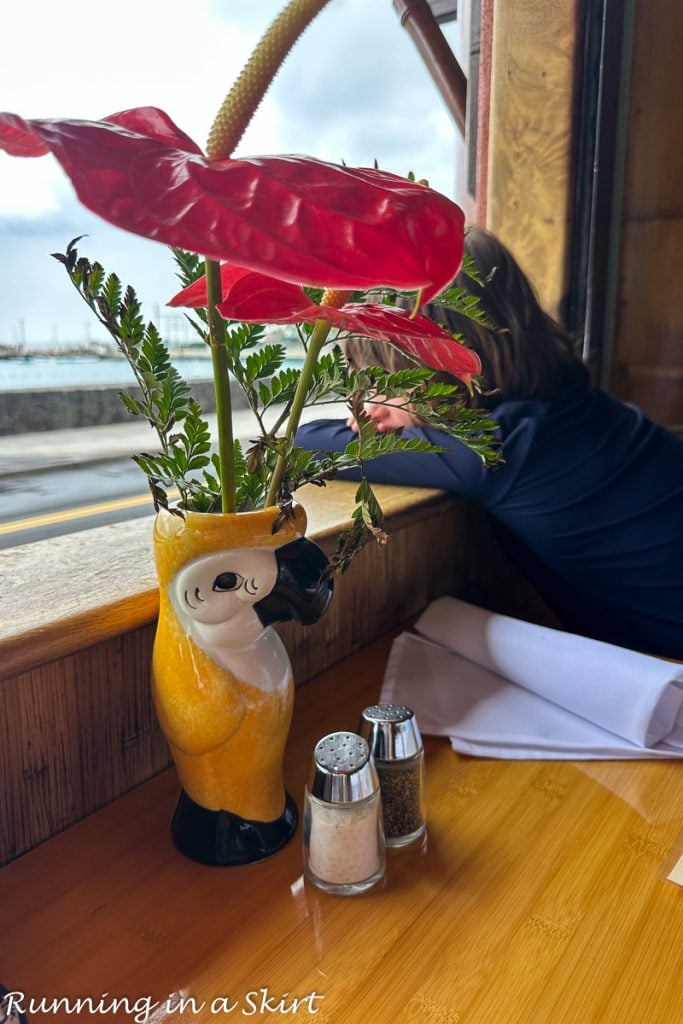 Best Restaurants Big Island Hawaii The Fish Hopper