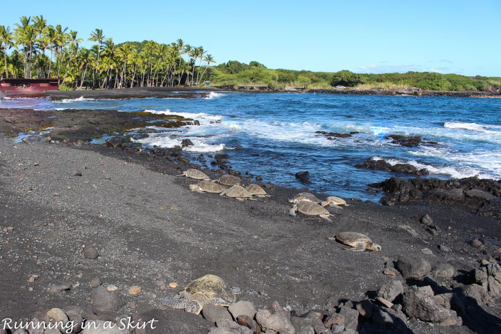 Black Sand Beach