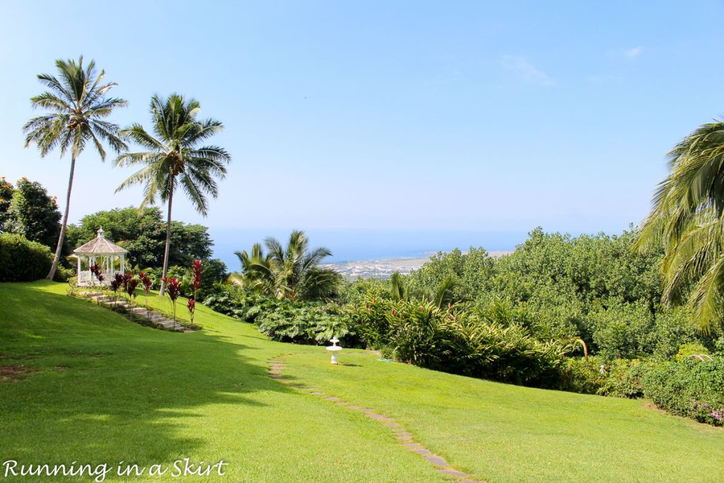 Best things are to do on the Big Island Hawaii Kona Coffee Farm