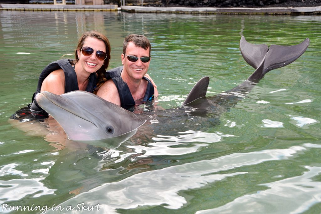 Best things are to do on the Big Island Hawaii swim with dolphins.
