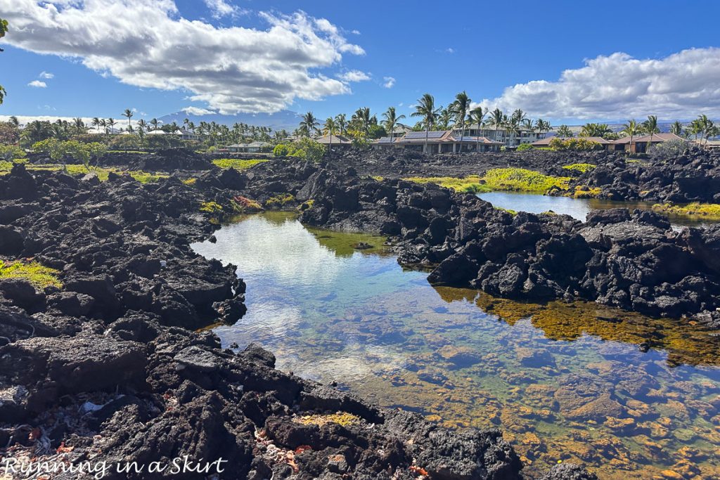 Best things are to do on the Big Island Hawaii Fish ponds