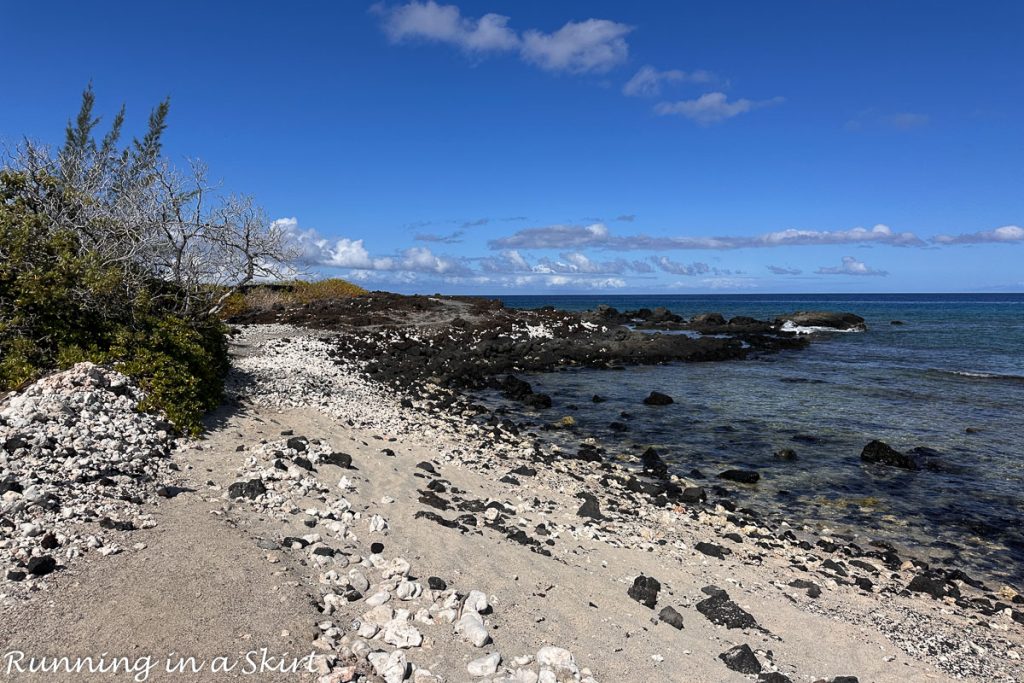Best things are to do on the Big Island Hawaii Beaches