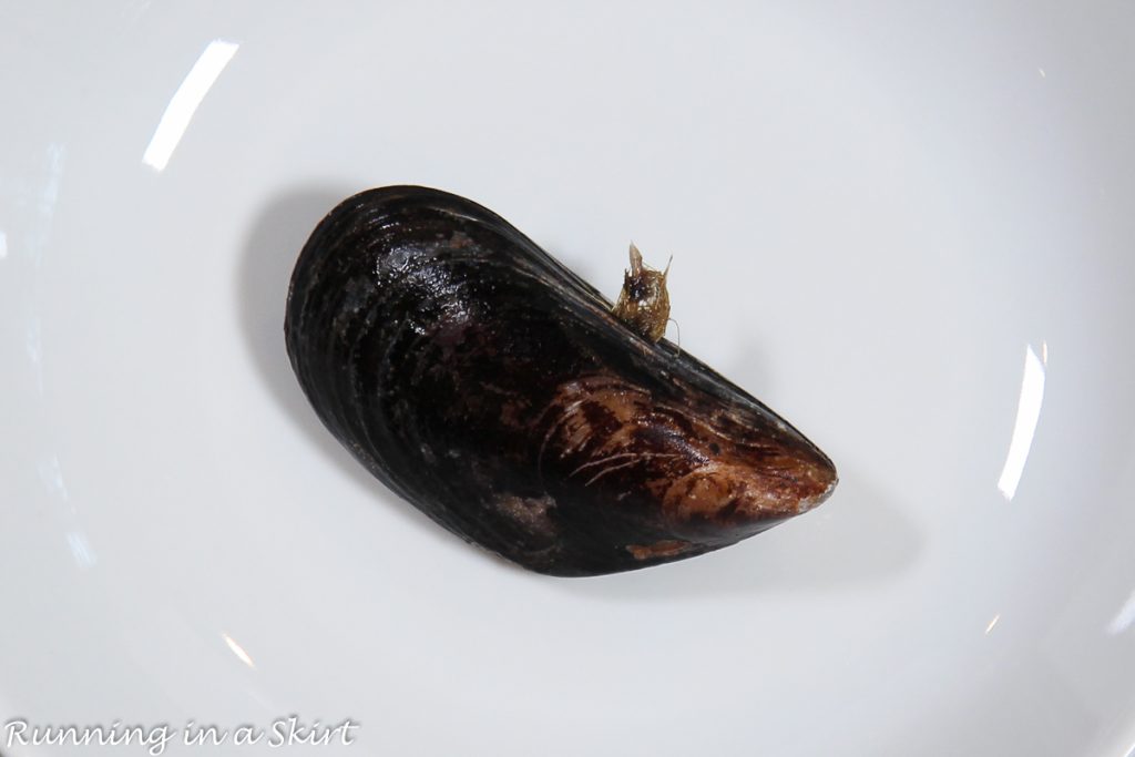 Photo showing where the beard is on the mussel.