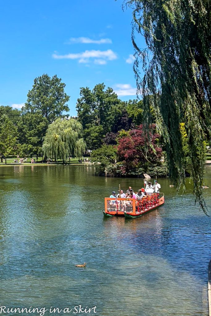 Things to Do in Boston with Kids - Swan Boat Tour