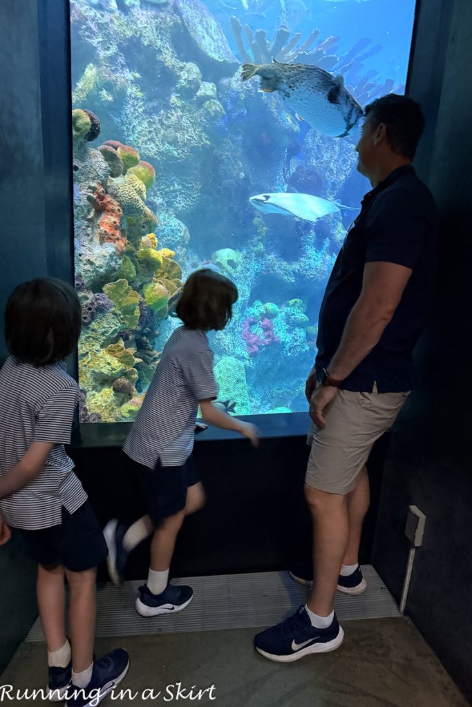 Things to Do in Boston with Kids