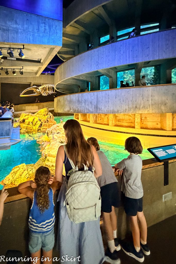 Family at the New England Aquarium