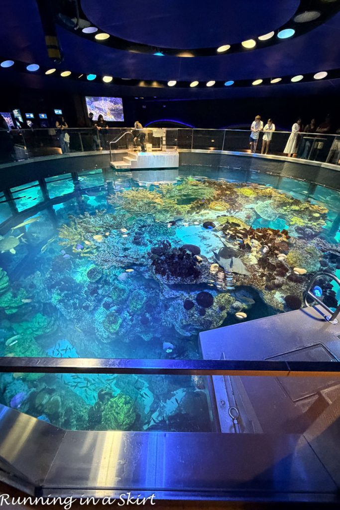Things to Do in Boston with Kids - New England Aquarium